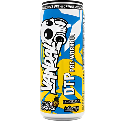 Vandal Ind Pre-Workout RTD 300ml can